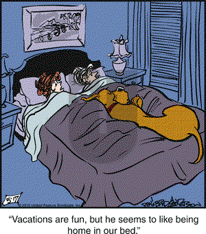 Marmaduke - Monday May 17, 2010 Comic Strip