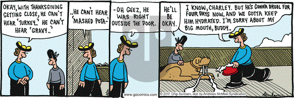 Overboard on Monday November 20, 2017 Comic Strip