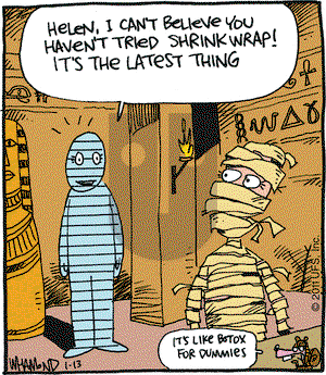 Reality Check on Thursday January 13, 2011 Comic Strip