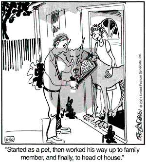Marmaduke on Wednesday June 20, 2001 Comic Strip
