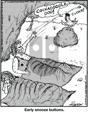 Close to Home on Friday November 14, 2008 Comic Strip