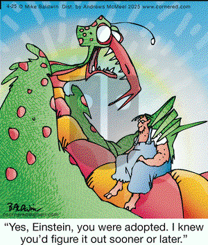 Cornered on Friday April 25, 2025 Comic Strip