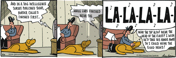 Overboard on Friday March 14, 2008 Comic Strip