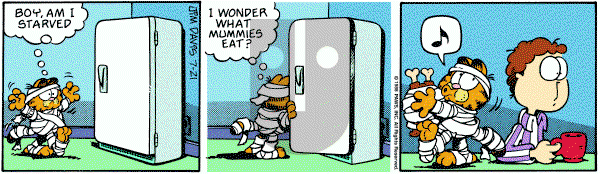 Garfield on Thursday July 21, 1988 Comic Strip