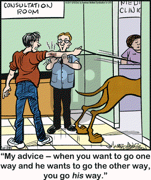Marmaduke on Saturday October 28, 2017 Comic Strip