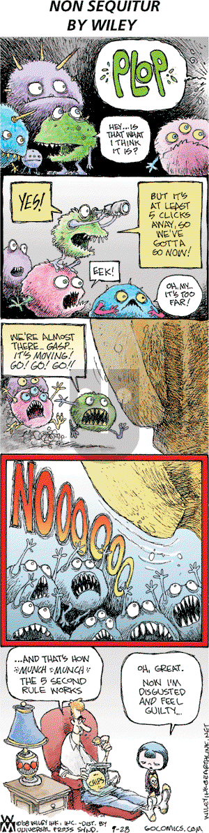 Non Sequitur on Sunday September 28, 2008 Comic Strip