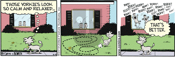 Grand Avenue on Saturday May 15, 2010 Comic Strip
