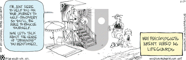 Non Sequitur on Monday June 23, 2008 Comic Strip