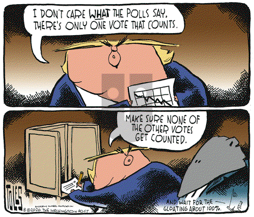 Tom Toles on Wednesday August 19, 2020 Comic Strip