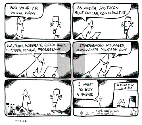 Tom Toles on Thursday June 12, 2008 Comic Strip