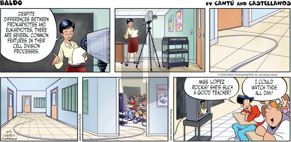 Baldo - Sunday December 13, 2009 Comic Strip