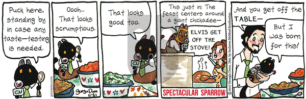 Breaking Cat News on Tuesday November 21, 2017 Comic Strip