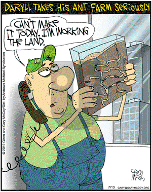 The Flying McCoys on Saturday July 13, 2019 Comic Strip