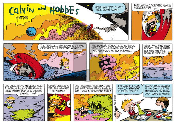 Calvin and Hobbes on Sunday October 27, 1991 Comic Strip
