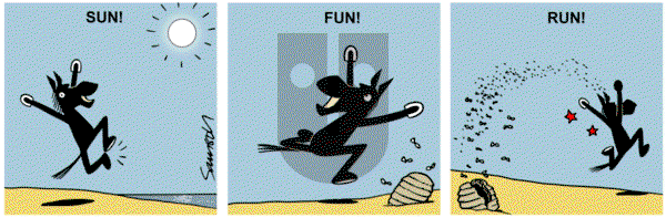 Dark Side of the Horse on Tuesday December 3, 2019 Comic Strip