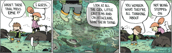 Wallace the Brave on Tuesday March 19, 2019 Comic Strip