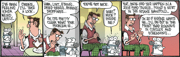 Monty on Wednesday November 14, 2018 Comic Strip