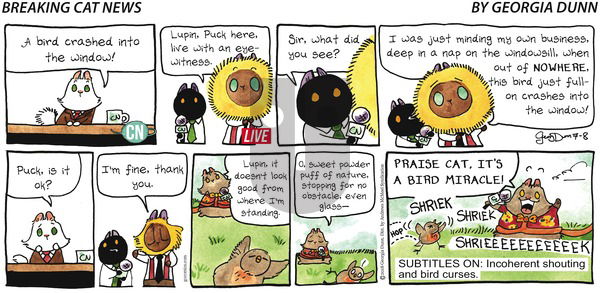 Breaking Cat News on Sunday July 8, 2018 Comic Strip