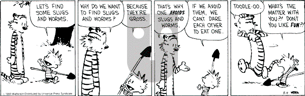 Calvin and Hobbes - Monday May 17, 1993 Comic Strip