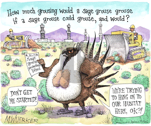 Matt Wuerker on Saturday June 1, 2019 Comic Strip