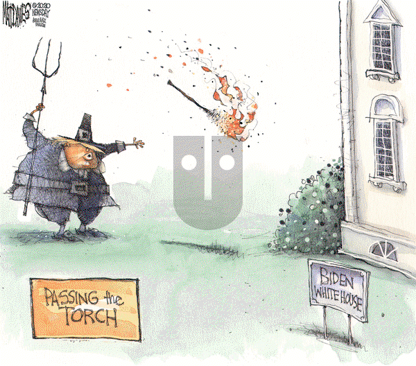 Matt Davies on Tuesday November 24, 2020 Comic Strip