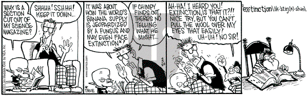 Monty on Monday February 24, 2003 Comic Strip