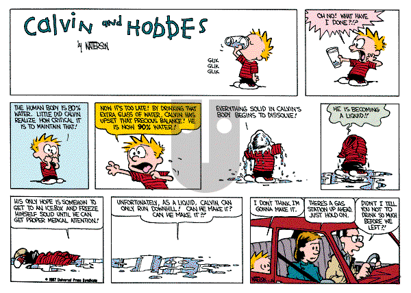 Calvin and Hobbes on Sunday March 1, 1987 Comic Strip