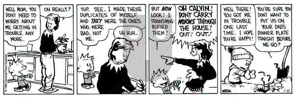 Calvin and Hobbes on Wednesday January 31, 1990 Comic Strip