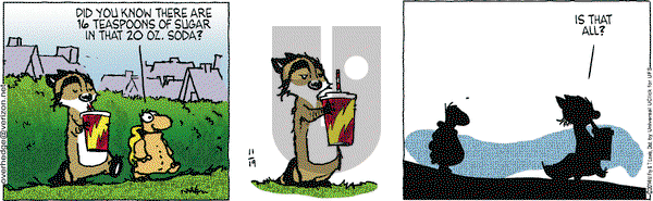 Over the Hedge on Wednesday November 19, 2014 Comic Strip