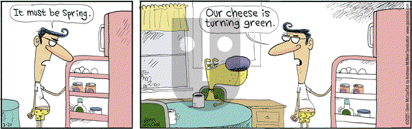 The Duplex on Thursday March 20, 2025 Comic Strip