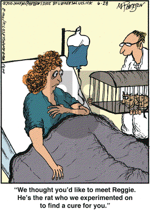 Close to Home on Monday June 28, 2010 Comic Strip