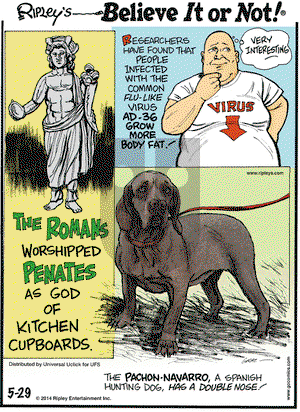 Ripley's Believe It or Not on Thursday May 29, 2014 Comic Strip