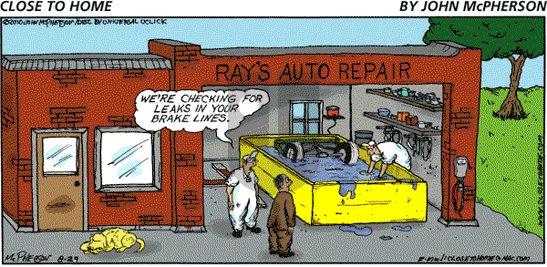 Close to Home on Sunday August 29, 2010 Comic Strip