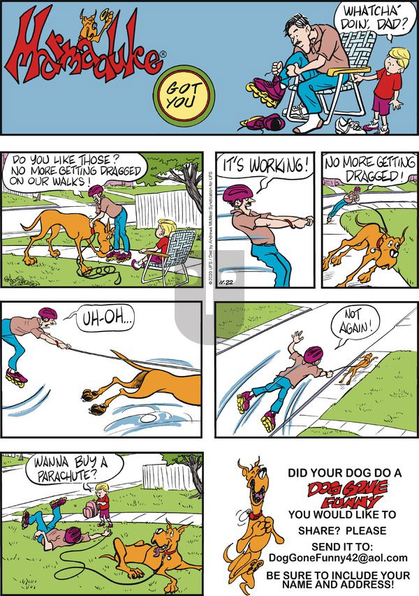 Marmaduke on Sunday November 22, 2020 Comic Strip