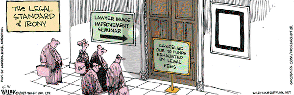 Non Sequitur - Wednesday May 31, 2023 Comic Strip