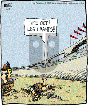 In the Bleachers on Friday December 17, 2010 Comic Strip