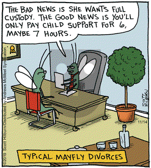 The Argyle Sweater on Thursday November 14, 2019 Comic Strip