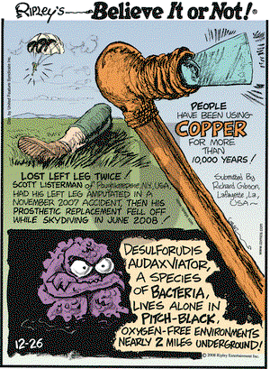 Ripley's Believe It or Not on Friday December 26, 2008 Comic Strip