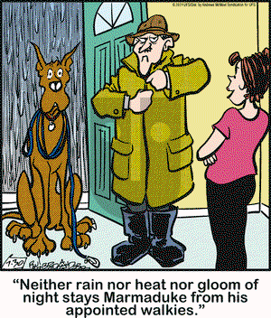 Marmaduke on Tuesday July 30, 2019 Comic Strip
