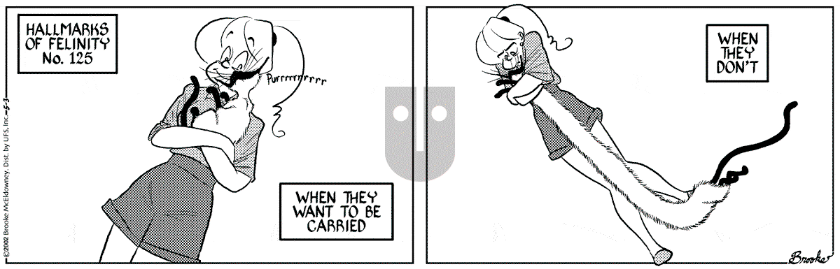 9 Chickweed Lane - Friday May 3, 2002 Comic Strip