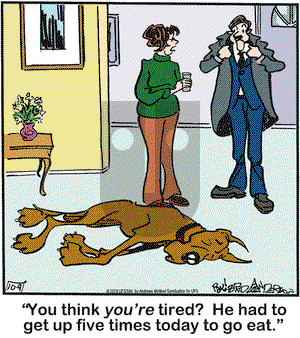 Marmaduke on Tuesday October 9, 2018 Comic Strip