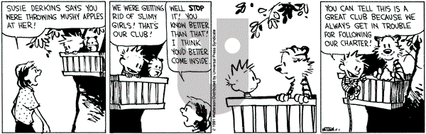 Calvin and Hobbes on Wednesday May 1, 1991 Comic Strip