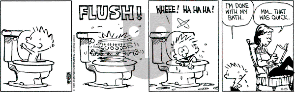 Calvin and Hobbes - Saturday June 25, 2016 Comic Strip