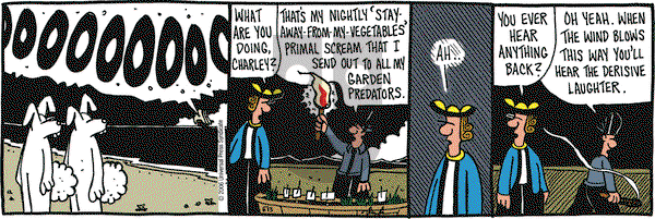 Overboard on Saturday June 3, 2006 Comic Strip