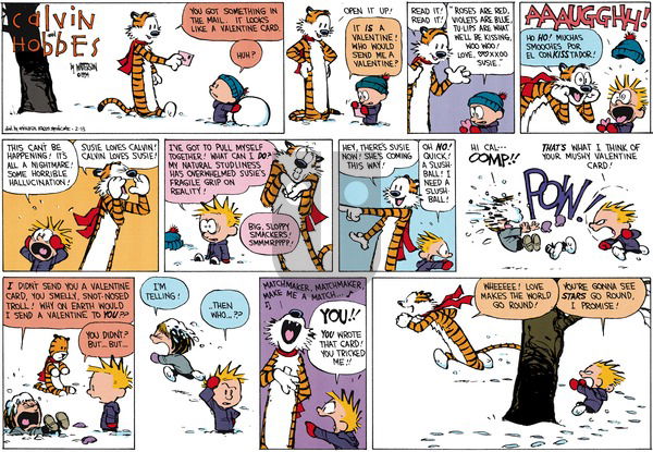 Calvin and Hobbes on Sunday February 13, 1994 Comic Strip
