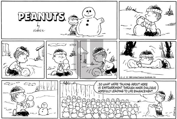 Peanuts on Sunday December 5, 1993 Comic Strip