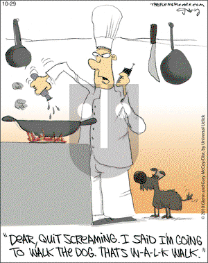 The Flying McCoys on Thursday October 29, 2015 Comic Strip