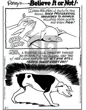 Ripley's Believe It or Not on Thursday April 1, 2004 Comic Strip