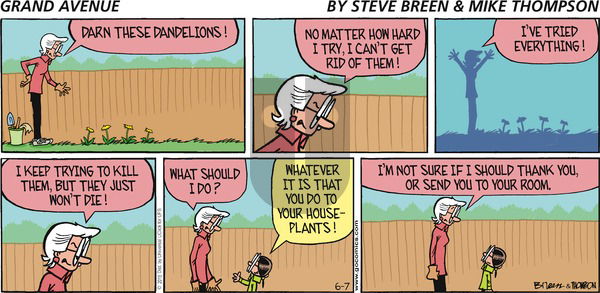 Grand Avenue on Sunday June 7, 2015 Comic Strip