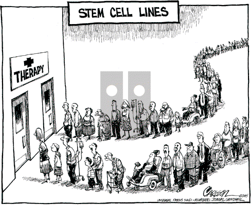 Stuart Carlson on Wednesday May 25, 2005 Comic Strip